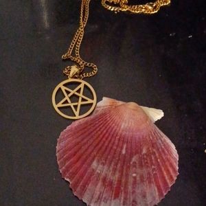 Last one of the week divining shell😇